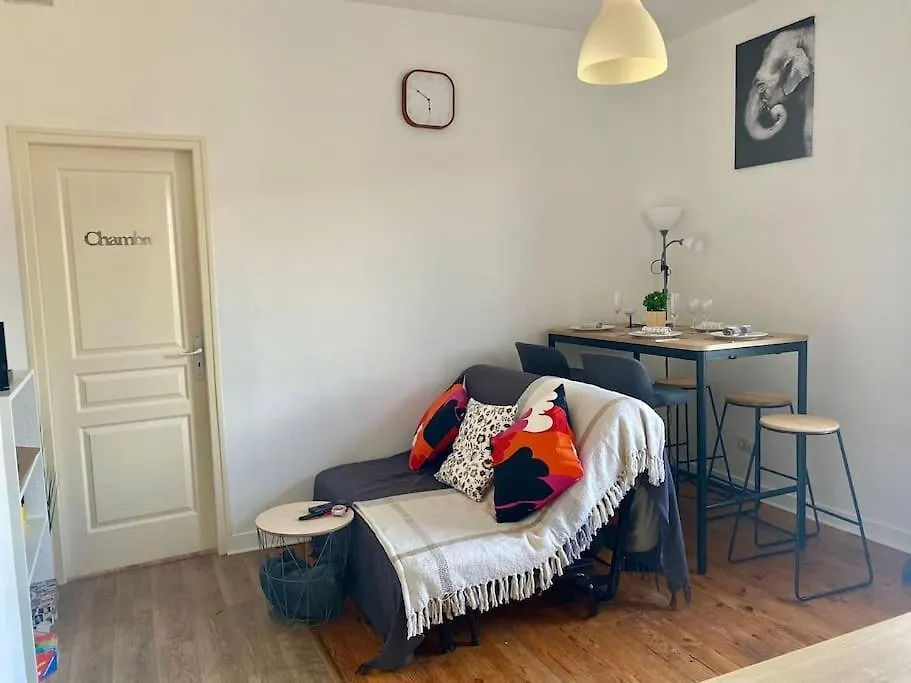 Le Jean Perrot Rent4Night Grenoble Apartment France